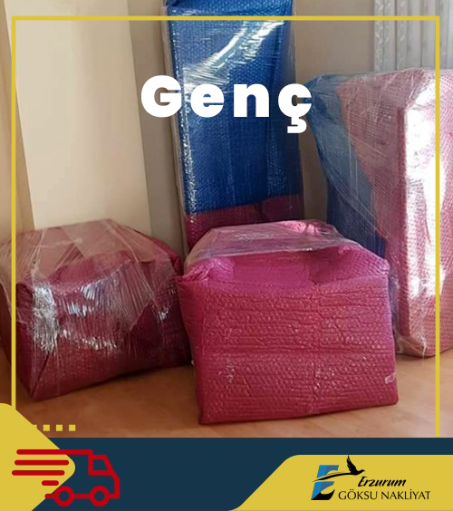 Bingöl Genç Evden Eve Nakliye